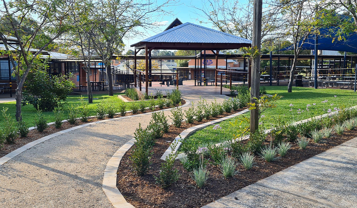 Ambarvale High School commercial landscape design and construction, turf laying, pergols, paving, footpaths, gravel