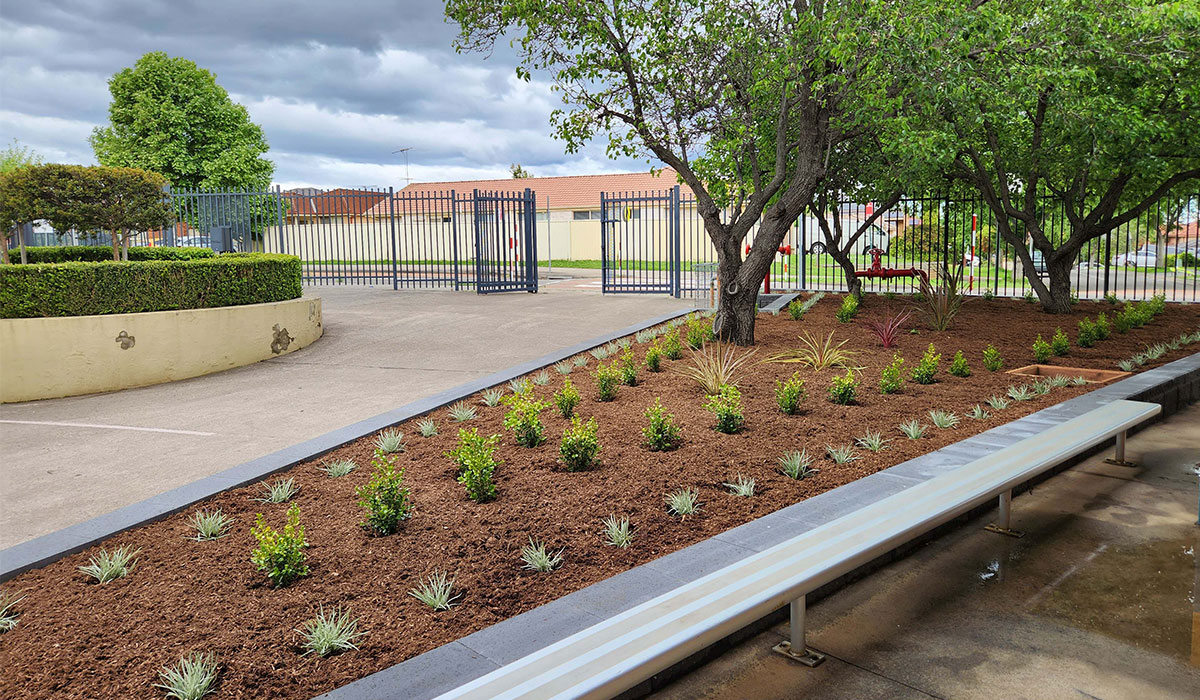 Greenway Public School, raised garden beds, commercial landscape design