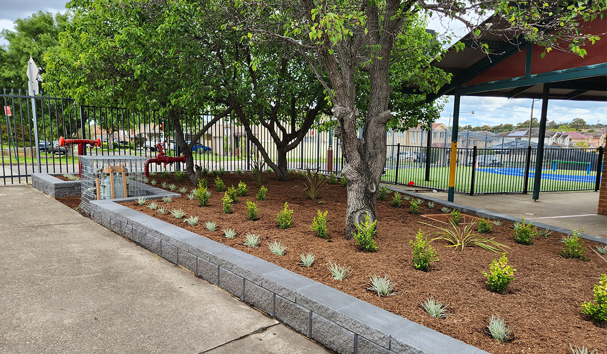 Greenway Park Public School, raised garden beds, commercial landscaping construction and design